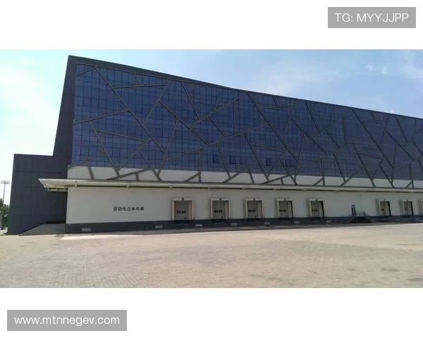 透视凯发官网的安全性与用户体验保障 透视凯发官网的安全性与用户体验保障